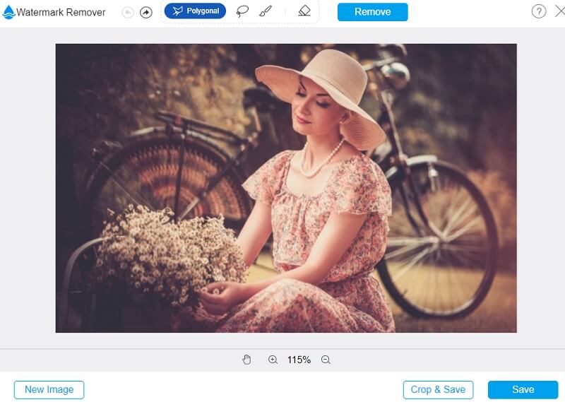 Speichern Vidmore Online