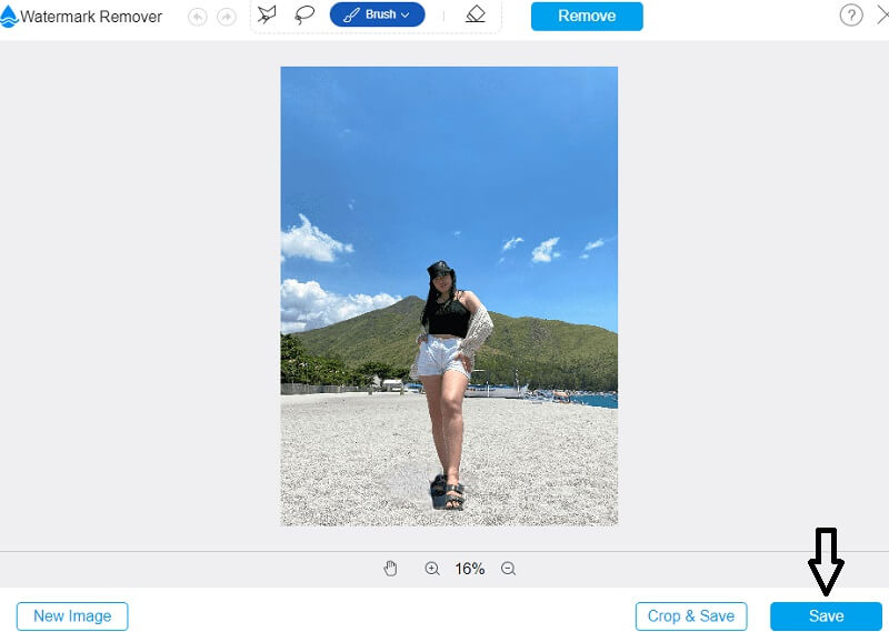 Bild mit Vidmore speichern