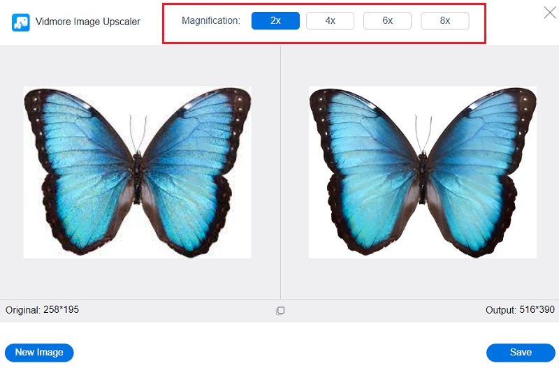 Vergrößerungsfaktor wählen Vidmore