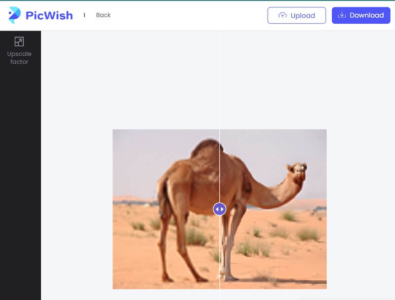 Bild klarer machen PicWish