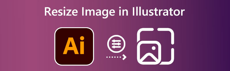 Bilder in Illustrator skalieren
