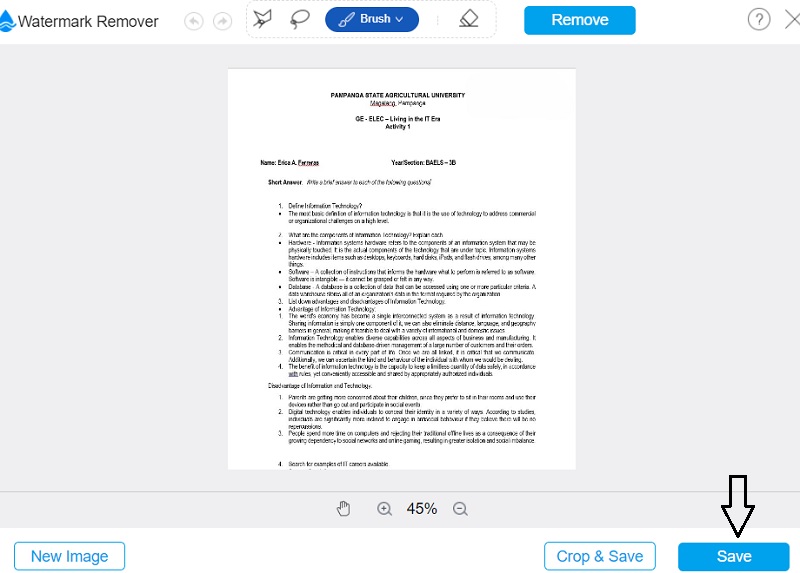 Bilder speichern Vidmore