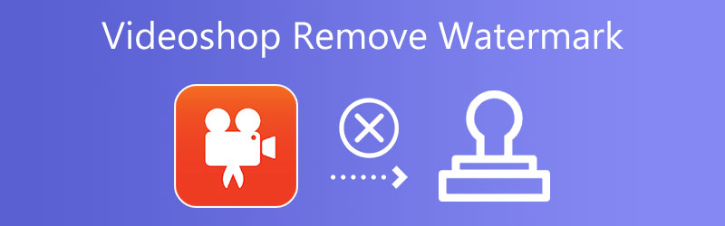 Videoshop-Wasserzeichen entfernen
