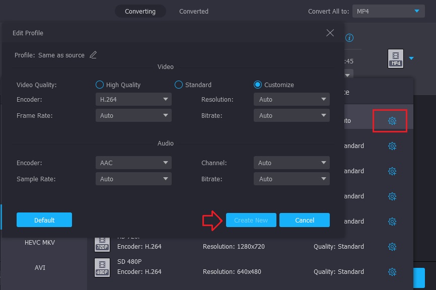 MKV bearbeiten Vidmore