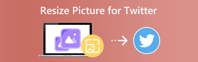 Bilder für Twitter skalieren