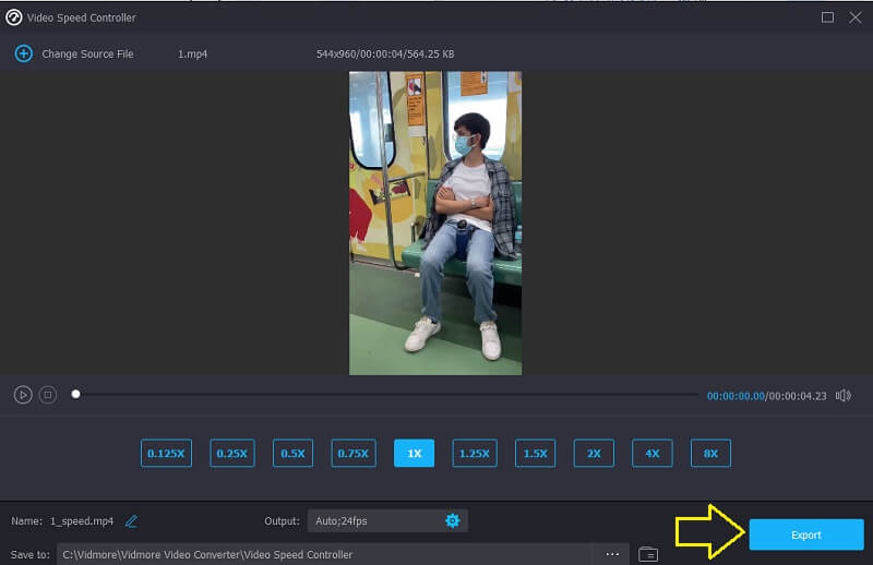 Video in Vidmore exportieren