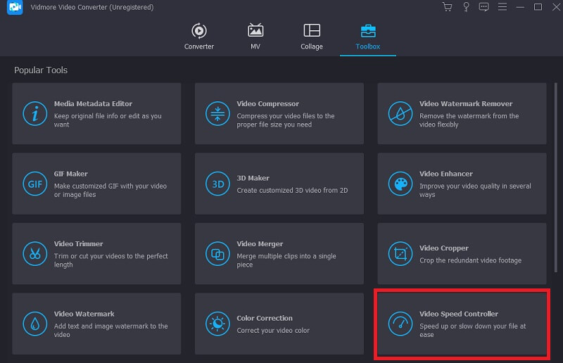 Video-Controller Vidmore