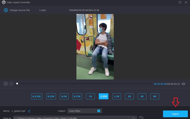 Vidmore Video exportieren