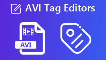AVI-Tag-Editor-Review