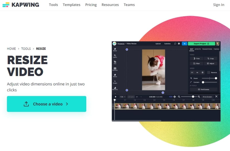 Video online mit Kapwing skalieren