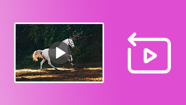 Wie man ein Video rückwärts abspielt s