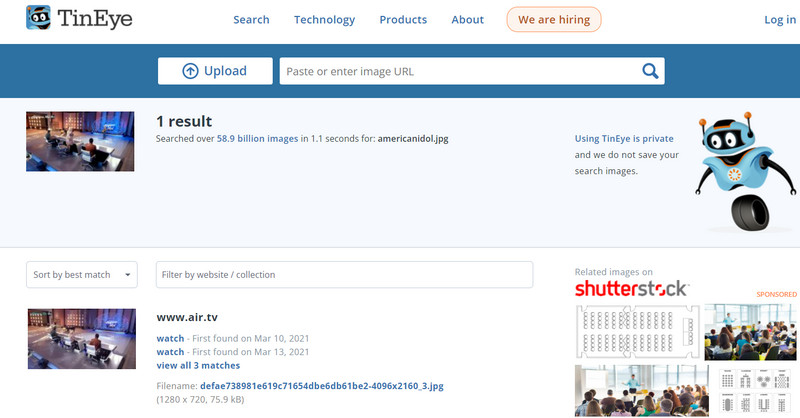 TinEye Video-Reverse-Suche