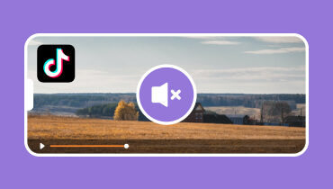 Videos für TikTok stummschalten