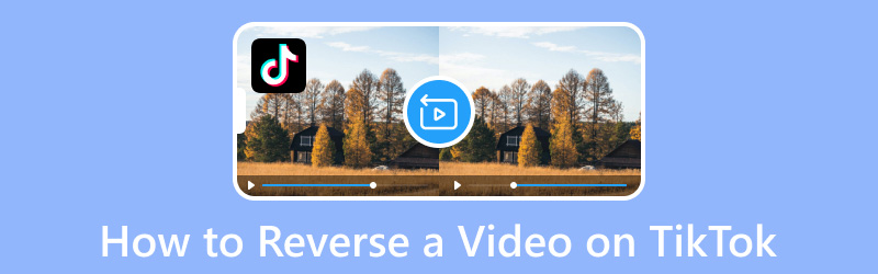 Ein Video auf TikTok rückwärts abspielen