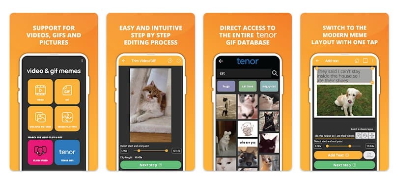 Video and GIF Memes Video‑Meme