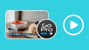 Bester GoPro-Video-Player