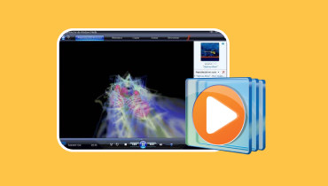 Windows Media Player im Test