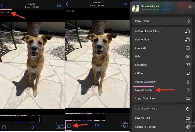 Wie man ein Live Photo in ein Video umwandelt