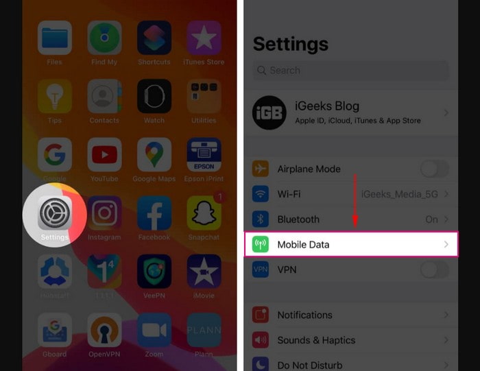 Apple Music den Zugriff auf mobile Daten verwehren