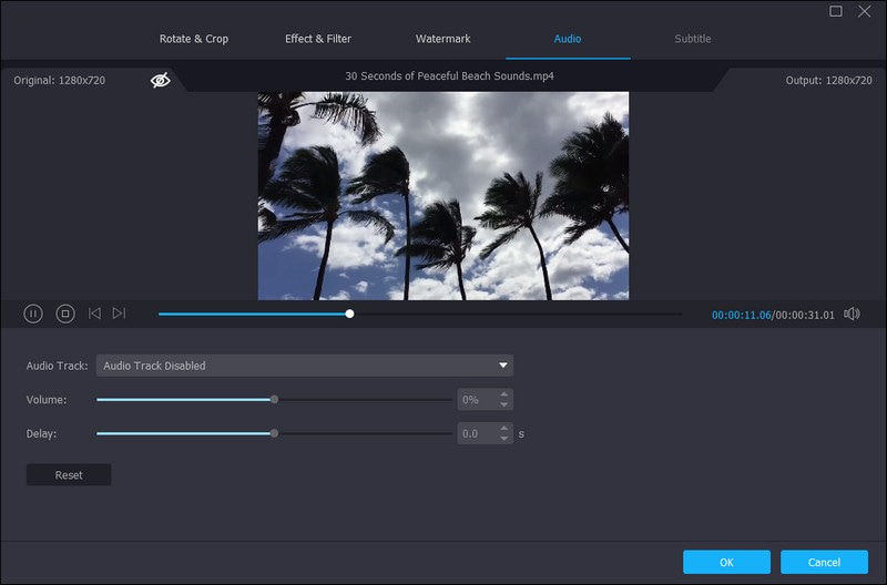 Vidmore Video Converter Videos stummschalten