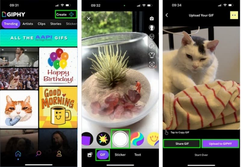 Giphy‑App zum Erstellen von GIFs