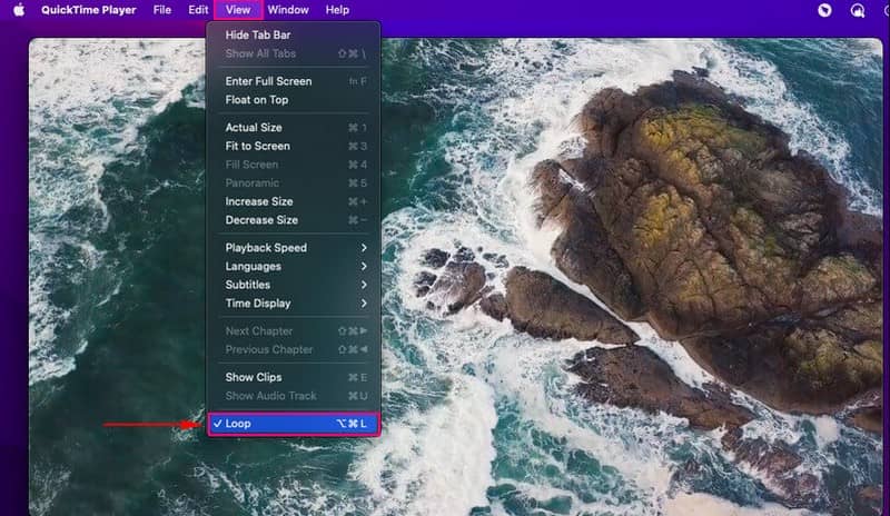 Wie man ein Video in QuickTime looped