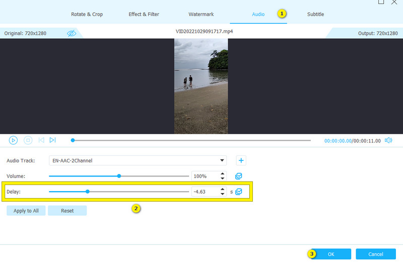Delay Audio Vidmore Einstellen