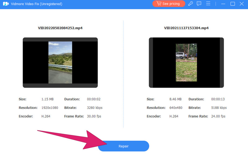 Video reparieren Vidmore Reparatur