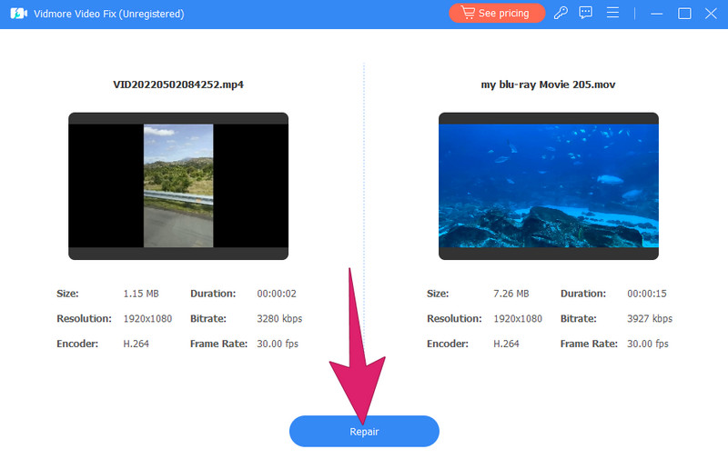 Vidmore Video Fix – Video reparieren