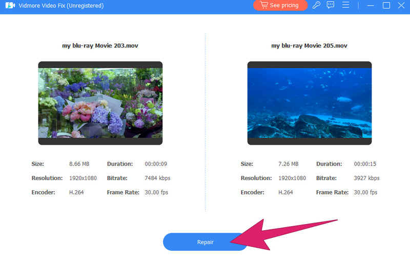 Vidmore Video Fix Videos reparieren