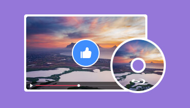 Beste Blu-ray-Player-Software