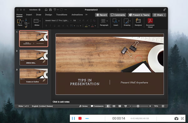 Vidmore Screen Recorder Stop Button