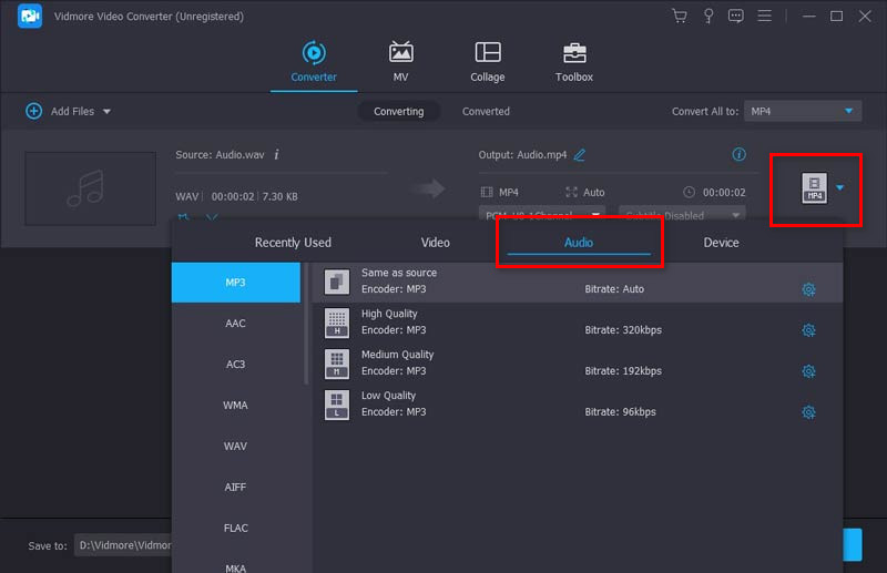 Vidmore Video Converter Audioausgabe