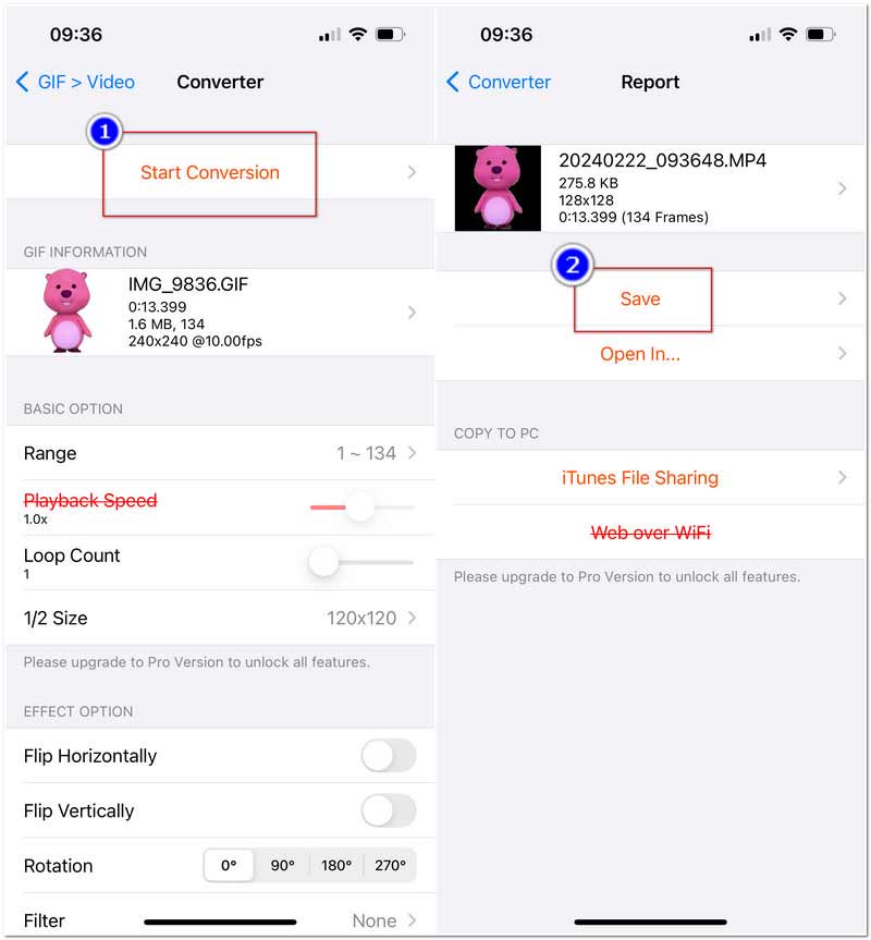 Gifcraker in MP4 iPhone