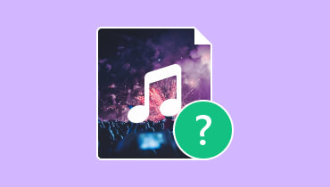 Welches ist das beste Audioformat für Klangqualität?