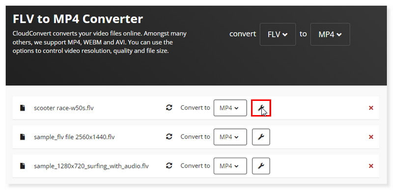 CloudConvert FLV Voreinstellungen