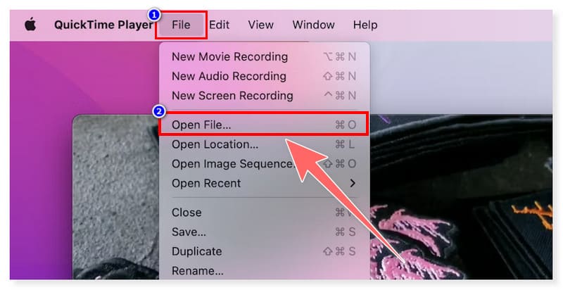 QuickTime GIF-zu-MOV-Converter