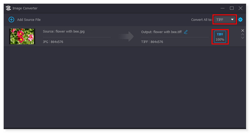 Vidmore TIFF-Bildkonverter