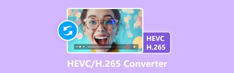 HEVC H265 Konverter