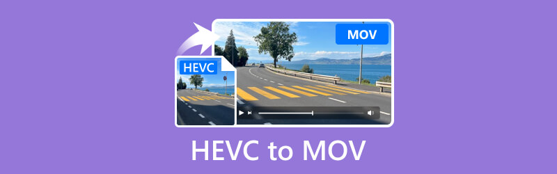 HEVC in MOV umwandeln