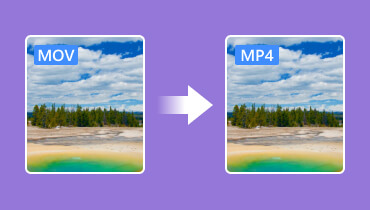 MOV in MP4 umwandeln