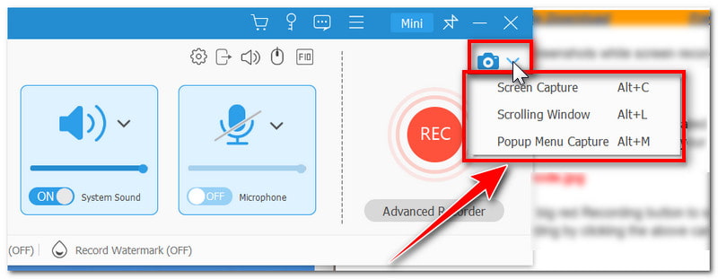 Vidmore Aufnahmemodus wählen