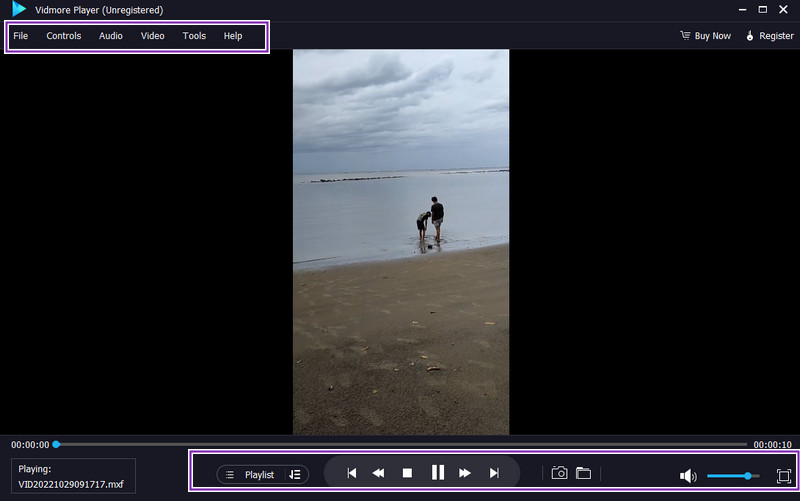 Vidmore Player MXF-Player-Steuerung