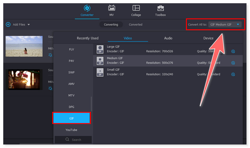 Vidmore Ausgabeformat wählen