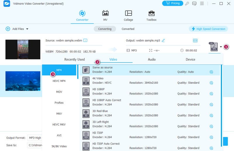 WebM zu MP4 Vidmore Einstellen