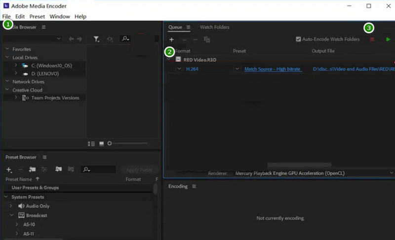AVI zu MP4 Adobe konvertieren
