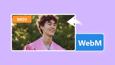 WebM in MOV umwandeln