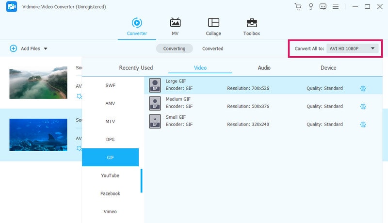 AVI GIF Vidmore Dateien festlegen