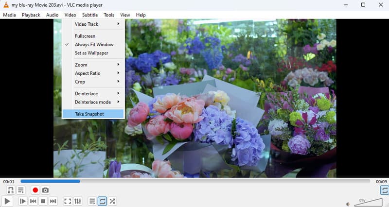 AVI GIF VLC Schnappschuss machen