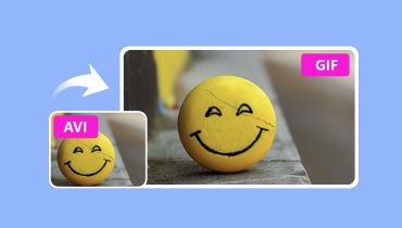 AVI in GIF umwandeln